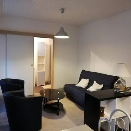 Appartement 2-4 Personnes Besse アパート ベス・エ・サンタナステーズ